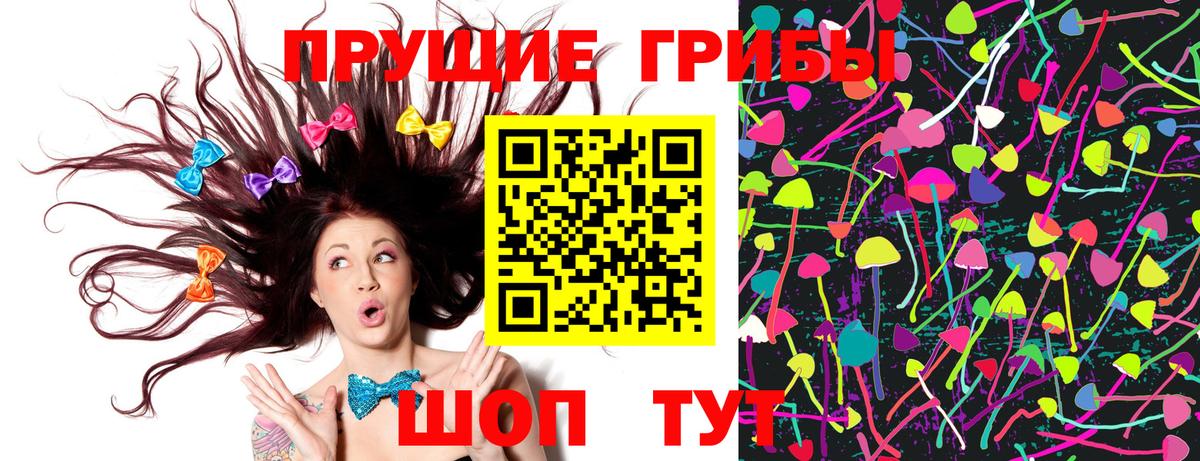 закладки  Псилоцибиновые грибы Cubensis  Вход с VPN  Кунгур 